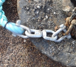 Shackle & swivel assembly